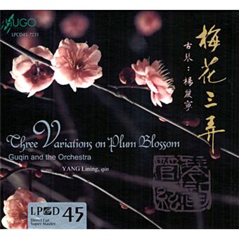 Yang Lining, New Century Orchestra - 1