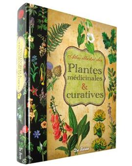 Plantes médicinales et curatives