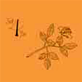 Just-4-you.jpg GEORGE SMALLWOOD : JUST 4 YOU