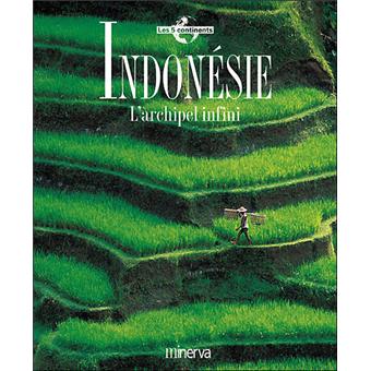 Indonesie L Archipel Infini Cartonne Collectif Achat Livre Fnac