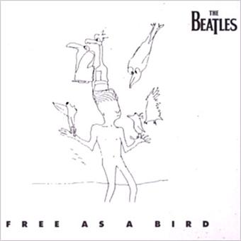 Free-as-a-bird.jpg