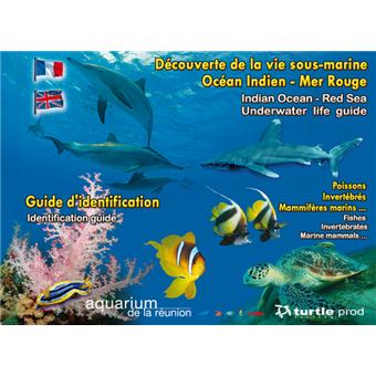 Découverte de la vie sous-marine Océan Indien - Mer Rouge