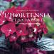 L'hortensia et sa famille