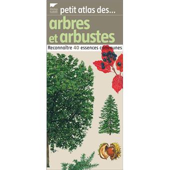 Petit Atlas Des Arbres Et Des Arbustes Reconnaitre 40 Essences Communes Broche Elisabeth Trotignon Achat Livre Fnac