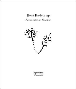 Les coraux de Darwin