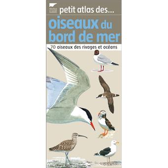 Petit atlas des oiseaux de bord de mer - 1