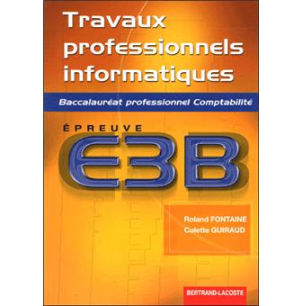 Travaux prof. informatiques - e3b bac pro comptabilite - 1