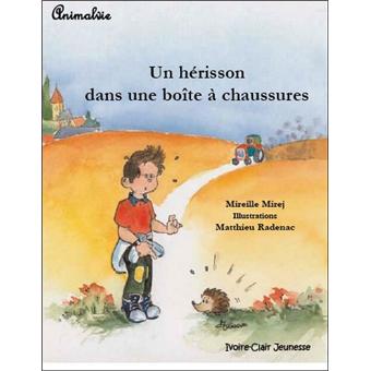 Un hérisson dans une boîte à chaussures