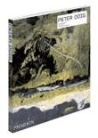 Peter doig - 1