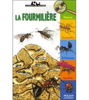 La Fourmiliere Broche Luc Gomel Anne Eydoux Achat Livre Fnac