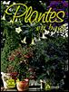 Plantes en pots - 1