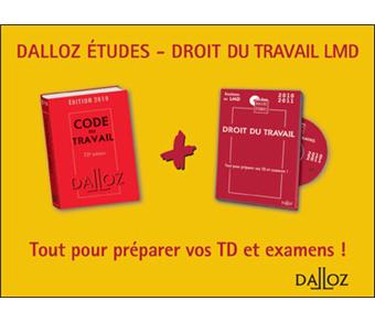 Droit du travail 20102011 Livre avec un CD Rom  Livre CDROM