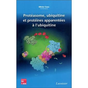 Protéasome, ubiquitine et protéines apparentées à l'ubiquitine - 1