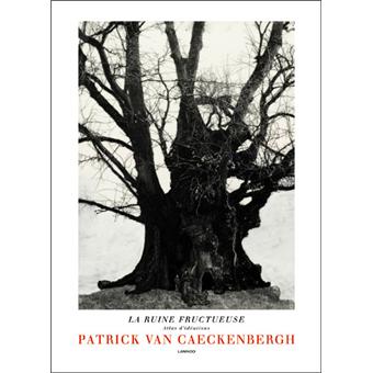 Patrick Van Caeckenbergh