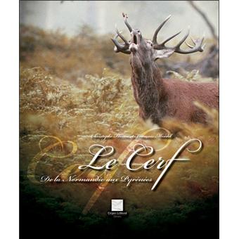 Le cerf - 1