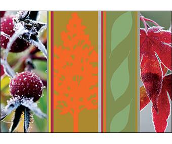 Hiver - 1