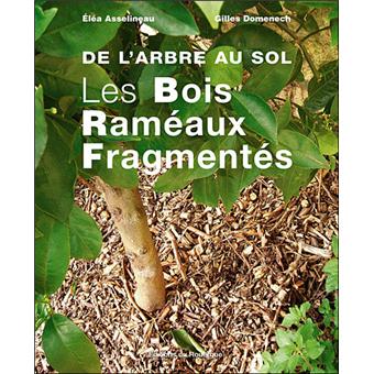 de l arbre au sol les bois rameaux fragmentes broche gilles domenech elea asselineau achat livre fnac