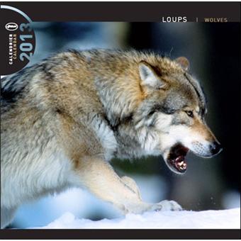 Calendrier 2013 30x30 Pictura Loups