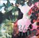 Pale Saints - 1