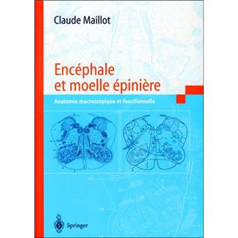 Encéphale et moelle épinière