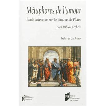 metaphores de  amour broche juan pablo lucchelli achat livre fnac