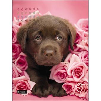Agenda Perpetuel Chien Broche Rachael Hale Achat Livre Fnac