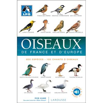 Oiseaux De France Et Deurope