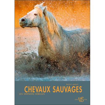 Reeves Griffoir Image Argent Chevaux Sauvages 