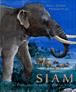 Siam - Daniel Conrod - relié