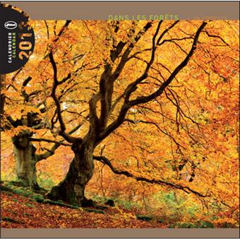 Calendrier 2013 30x30 Pictura Dans les forêts