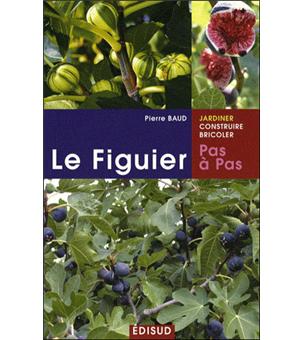 Le figuier : Pas à pas