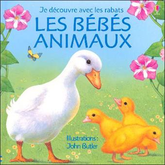 Bebes Animaux - 