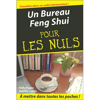 FENG SHUI LE POCHE POUR LES NULS
