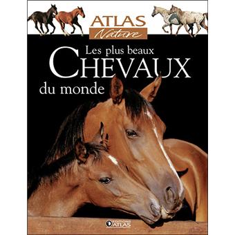 Les plus beaux chevaux du monde - cartonné - Collectif - Achat Livre