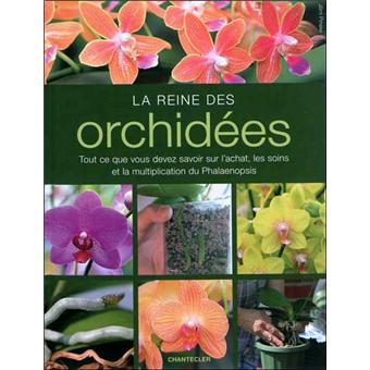 La reine des orchidées - 1
