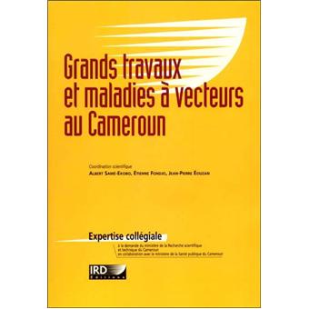 Grands travaux et maladies à vecteurs au Cameroun