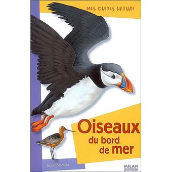 Oiseaux du bord de mer - 1