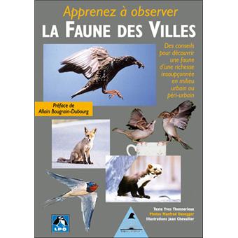Apprenez A Observer Les Animaux Des Villes Broche Yves Thonnerieux Achat Livre Fnac