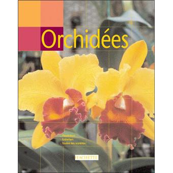 Orchidées - 1