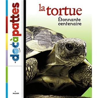 Couverture : La tortue