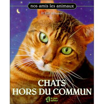 Chats Hors Du Commun Broche Joel Dehasse Livre Tous Les Livres A La Fnac