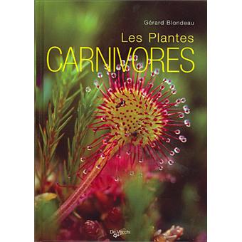 Les plantes carnivores - Jardiland