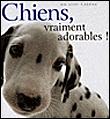 Chiens, vraiment adorables ! - 1