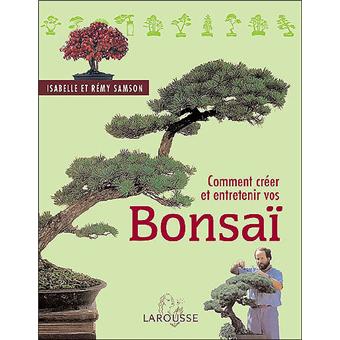 Entretien du bonsaï : Voici comment votre bonsaï vieillira