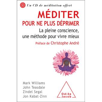 Méditer Pour Ne Plus Déprimer - 