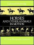 Horses and other animals in motion