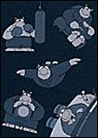 Le Chat Coffret 7 Volumes Tome 1 A Tome 7 Mini Edition Anniversaire 25 Ans Philippe Geluck Cartonne Achat Livre Fnac