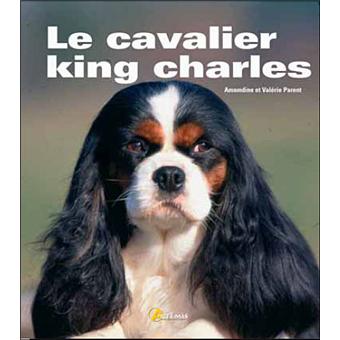 Le cavalier king Charles - 1