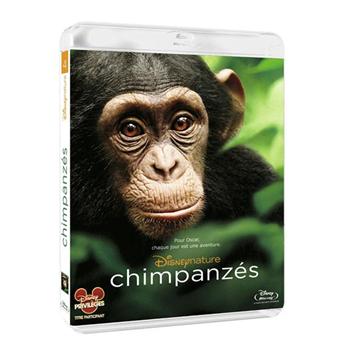 Chimpanzés - Blu-Ray
