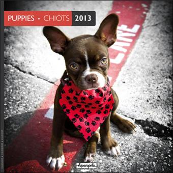 Calendrier 2013 30x30 Aquarupella Chiots